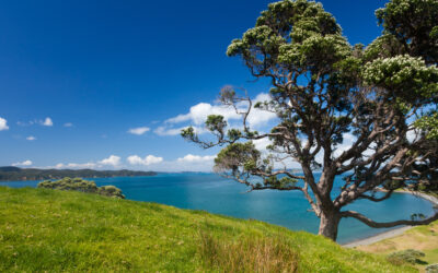 Latest Updates on Studying and Immigration in New Zealand