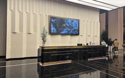 CIA Visits Shanghai: Engaging with Partners at Tengxiang Education